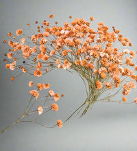 Dried Orange Flowers for Resin Craft and Decoration - Artist Corners