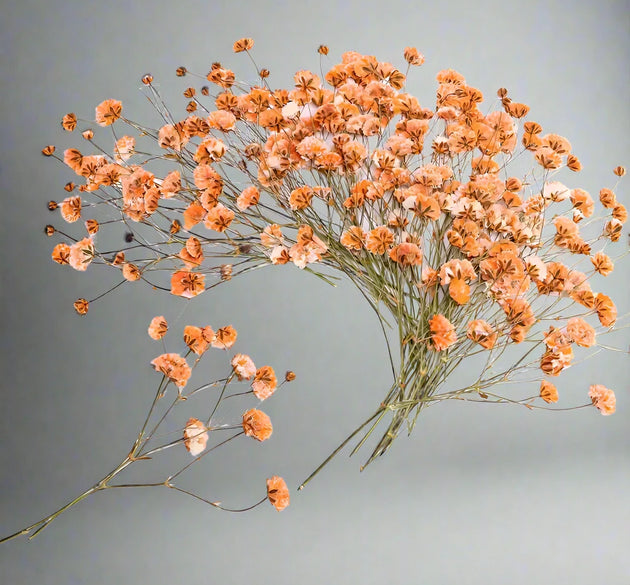 Dried Orange Flowers for Resin Craft and Decoration - Artist Corners