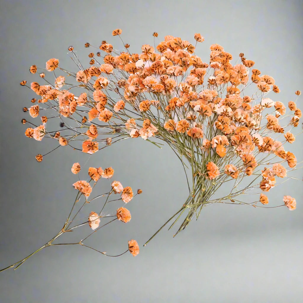 Dried Orange Flowers for Resin Craft and Decoration - Artist Corners